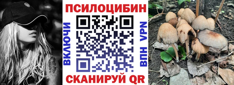 Галлюциногенные грибы мицелий omg ССЫЛКА Брюховецкая